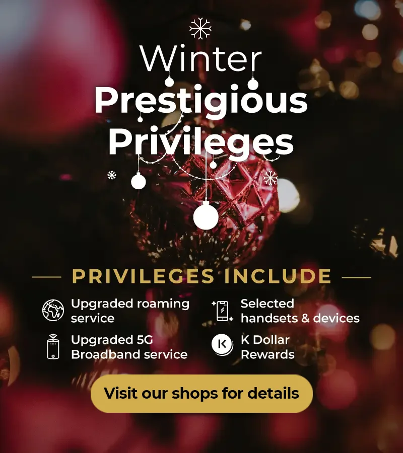 Christmas Prestigious Privileges - Roaming Through Winter Moments