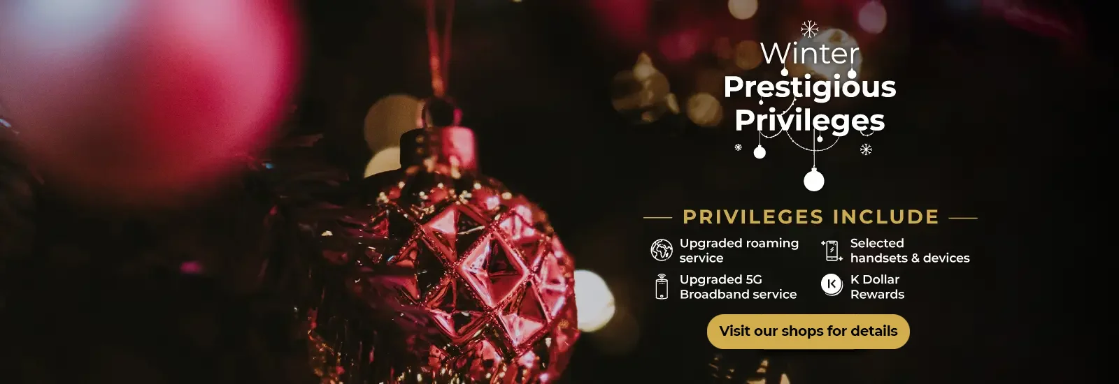 Christmas Prestigious Privileges - Roaming Through Winter Moments